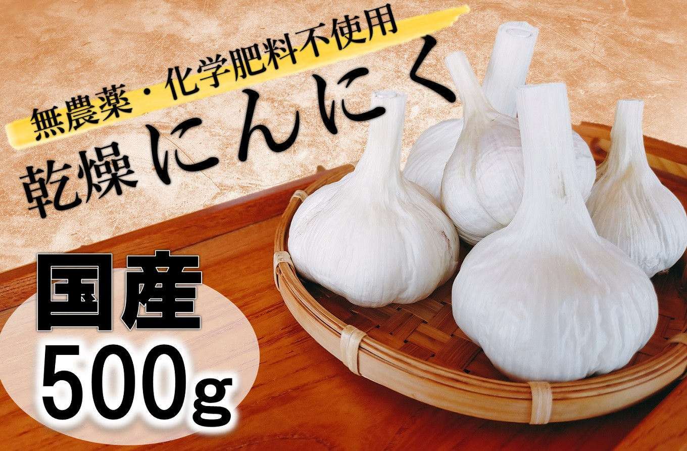 愛媛県産 生にんにく 2.0kg以上　無農薬
