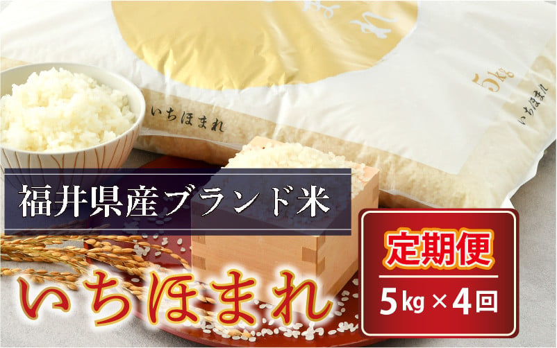 【令和5年産】【4ヶ月連続お届け】さんさん池見二代目がお届けする 福井県産いちほまれ 5kg × 4回 計20kg（上白米） [D-0203_01]