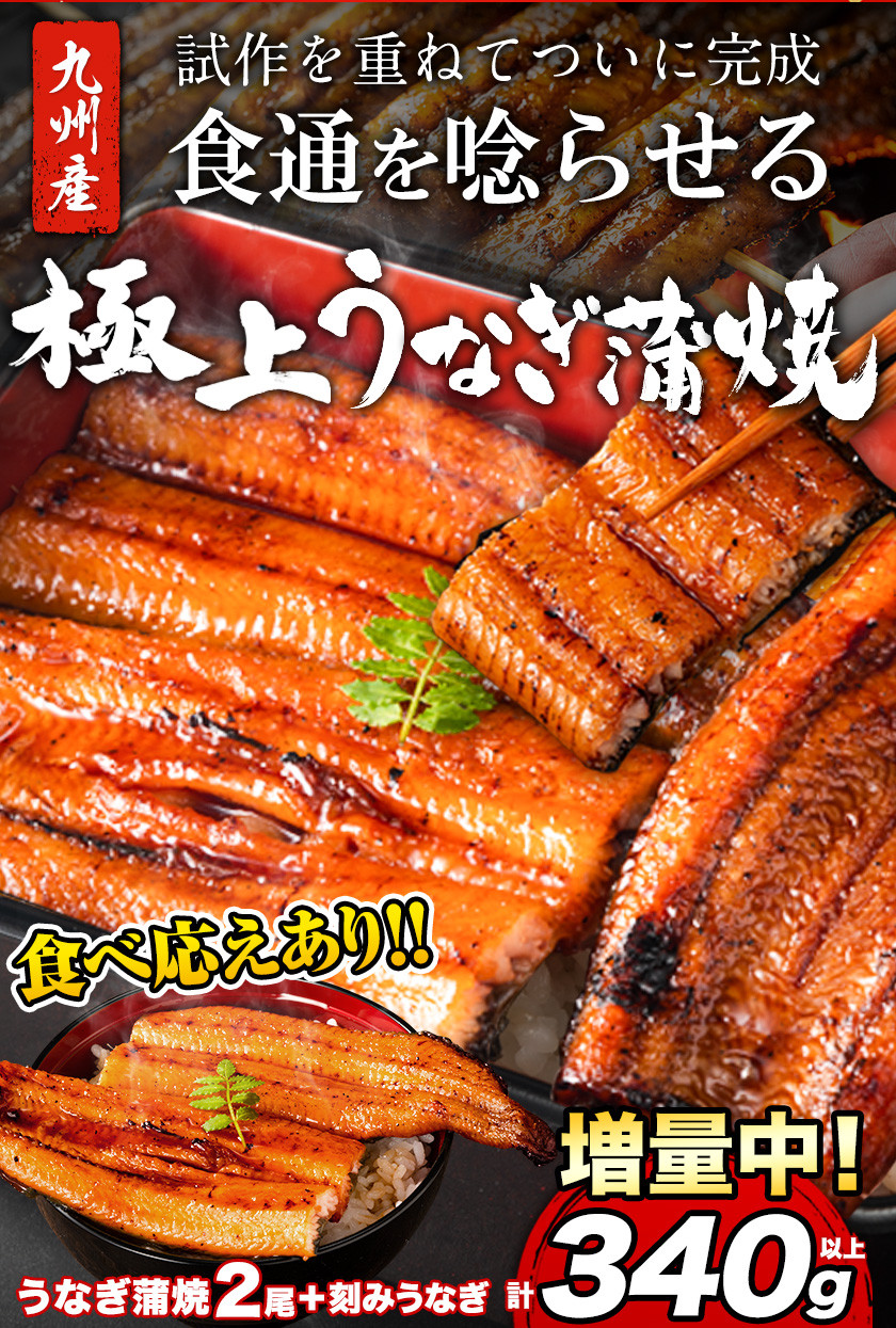 市場 ふるさと納税 鹿児島県産うなぎの蒲焼2尾 うなぎ亭天照 B-415 うなぎの蒲焼 川内月見 鹿児島県産 鰻 約240ｇ ウナギ うなぎ