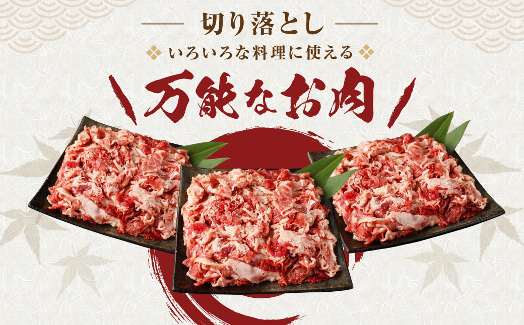 福岡県産 博多和牛 切り落とし 合計1200g 400g×3パック 和牛 牛肉 - 福岡県広川町｜ふるさとチョイス - ふるさと納税サイト