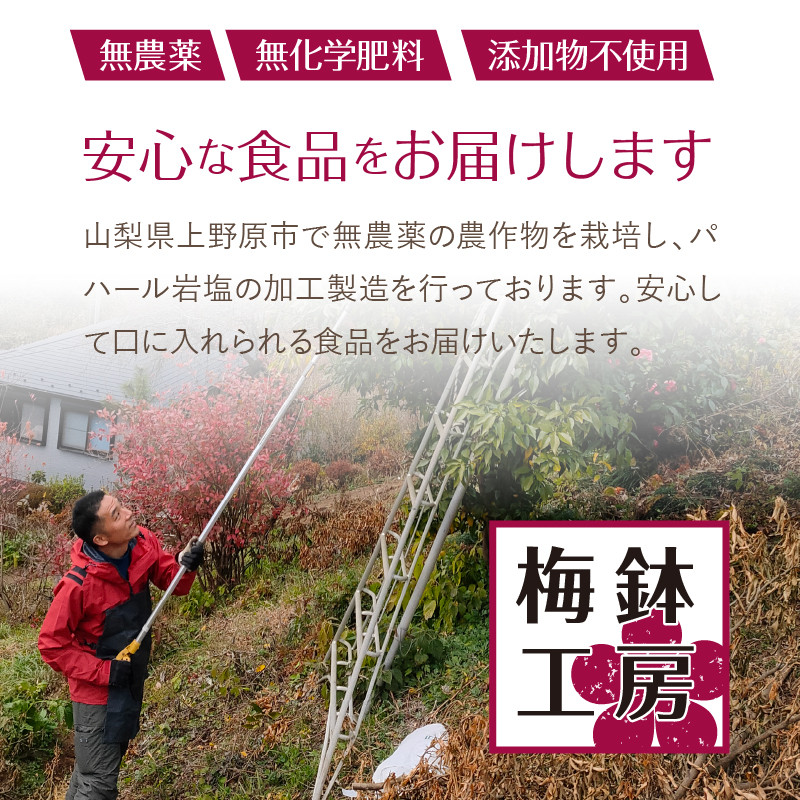 パハール岩塩mini＋詰替用ミル挽粉末100ｇ×10袋 - 山梨県上野原市｜ふるさとチョイス - ふるさと納税サイト