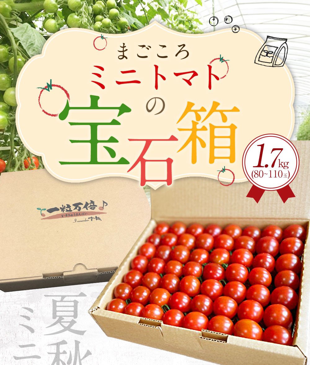 まごころ ミニトマト の宝石箱 1.7kg（約80～110玉）サンチェリーピュア トマト - 大分県竹田市｜ふるさとチョイス - ふるさと納税サイト