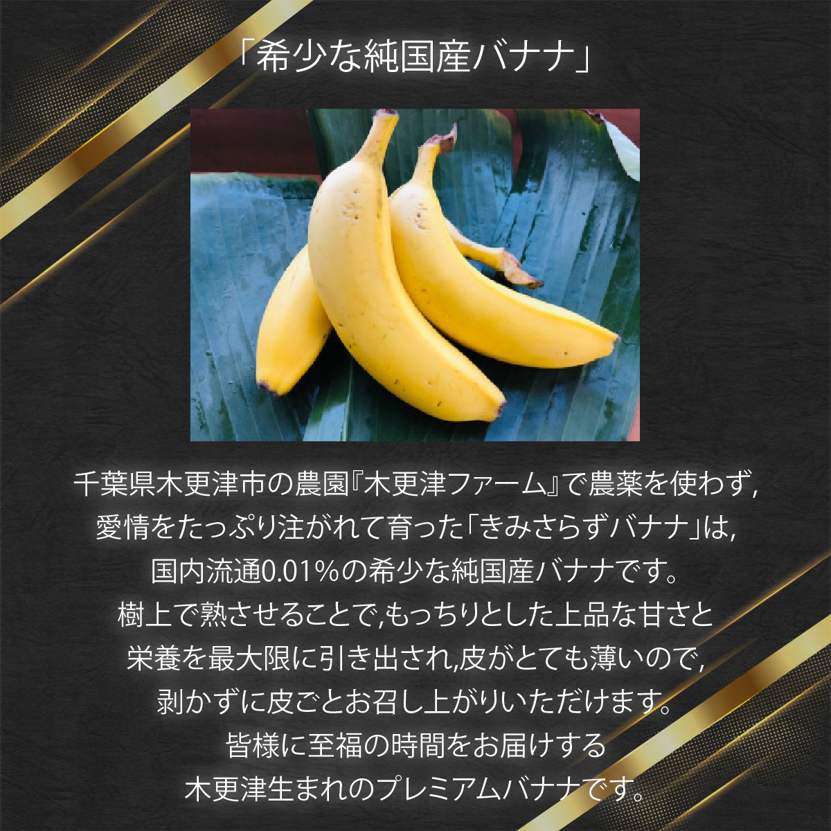 ふるさと納税 蜜の月バナナ 和歌山県海南市 通販