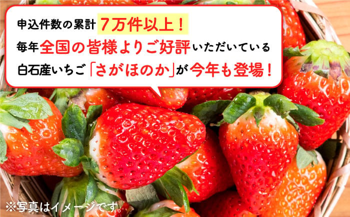 先行予約】【産地直送】白石産いちご さがほのか 約150g×6パック（計900g以上）[IZZ012] - 佐賀県白石町｜ふるさとチョイス -  ふるさと納税サイト