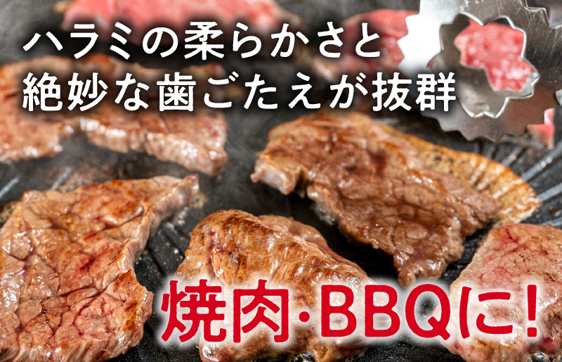 牛肉 ハラミ 1.5kg 小分け タレ漬け 味付き 焼肉 BBQ 手切り加工 お手軽 簡単 肉厚 冷凍 人気 高評価 緊急支援 期間限定 牛すじ佃煮付き  - 大阪府泉佐野市｜ふるさとチョイス - ふるさと納税サイト