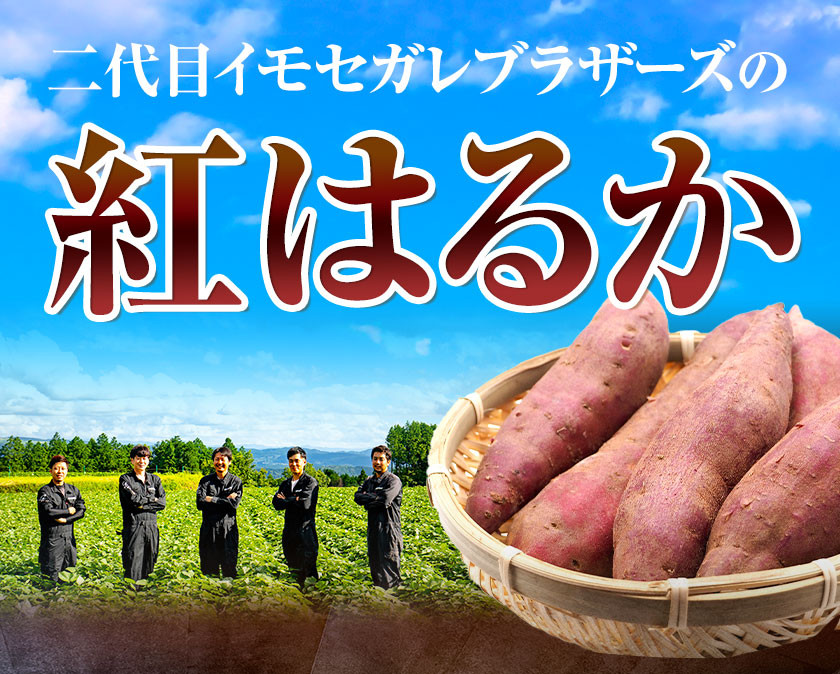 熊本県大津町産 紅はるか 約5kg（大中小不揃い）《1-5営業日以内に順次出荷(土日祝除く)》二代目イモセガレブラザーズ さつまいも 芋 紅はるか  スイートポテト 干し芋にも 特産品 熟いも 野菜 薩摩芋 さつま芋