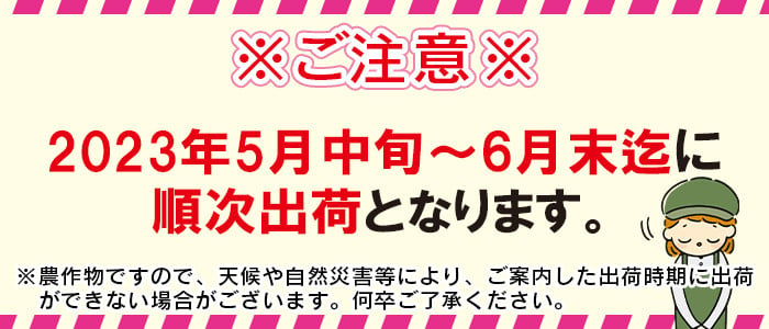 予約受付！＜宮崎県産 太陽のタマゴ A等級 4Lサイズ×2玉（合計約1kg）＞2023年5月中旬～6月末迄に順次出荷 - 宮崎県国富町｜ふるさとチョイス  - ふるさと納税サイト