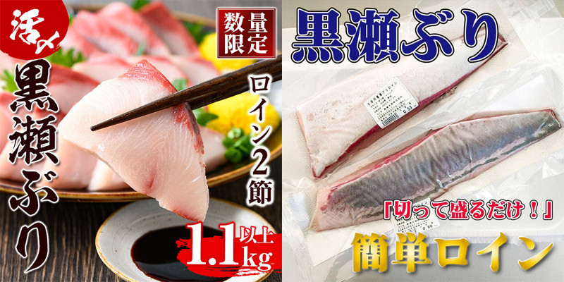切って盛るだけで豪華お刺身盛りが完成！　寄附金額15,000円