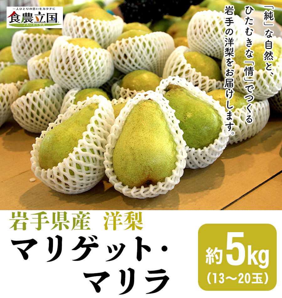 リとろける◌ JAいわて中央の美味しい西洋梨 ゼネラル・レクラーク5kg(13玉〜20玉) 10月中旬から発送予定：岩手県矢巾町 っても -  www.tomislavnews.com