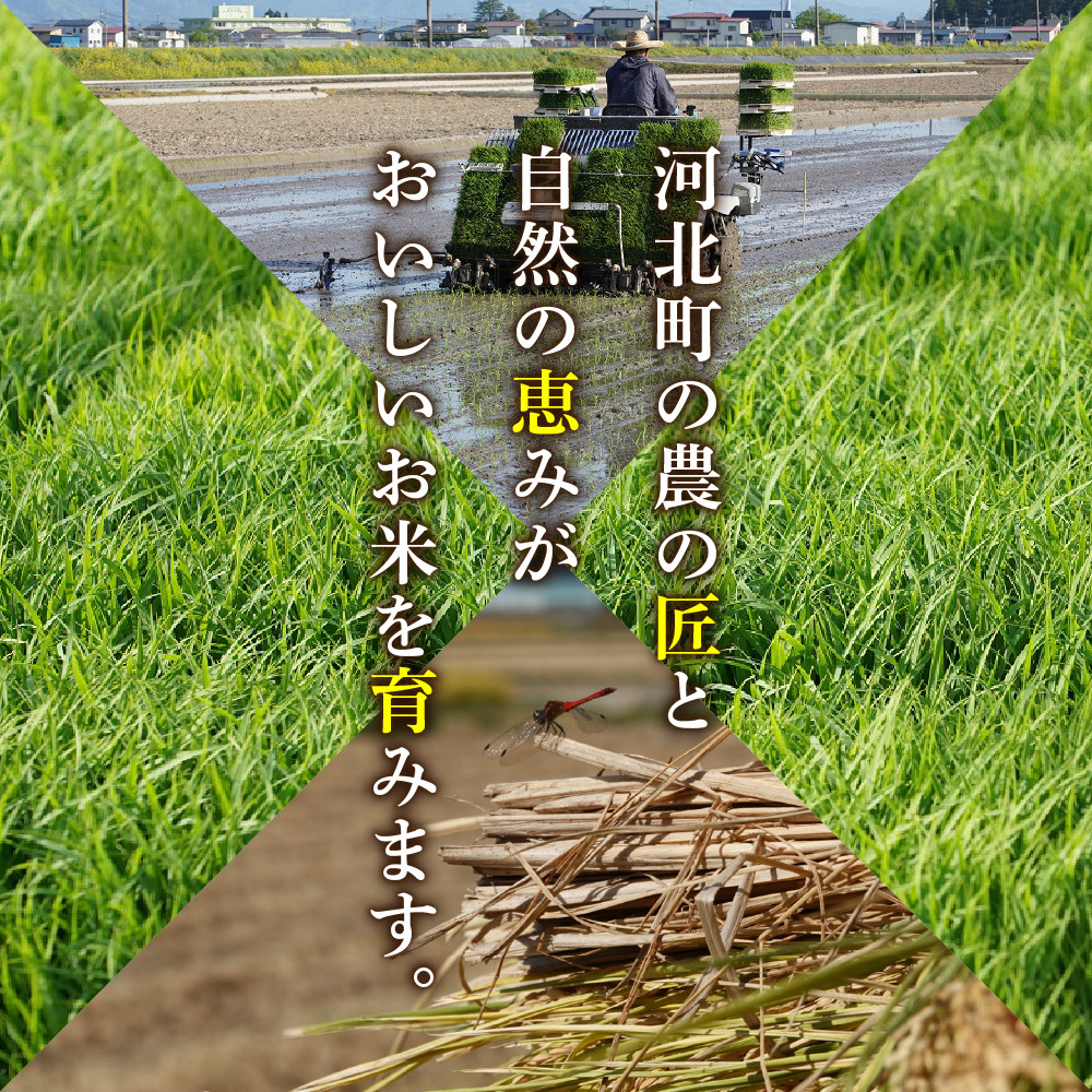 2022年11月前半スタート※【令和4年産】特A つや姫30kg（10kg×3回）定期便 一等米 山形県河北町産【丹野商店】 - 山形県河北町｜ふるさとチョイス  - ふるさと納税サイト