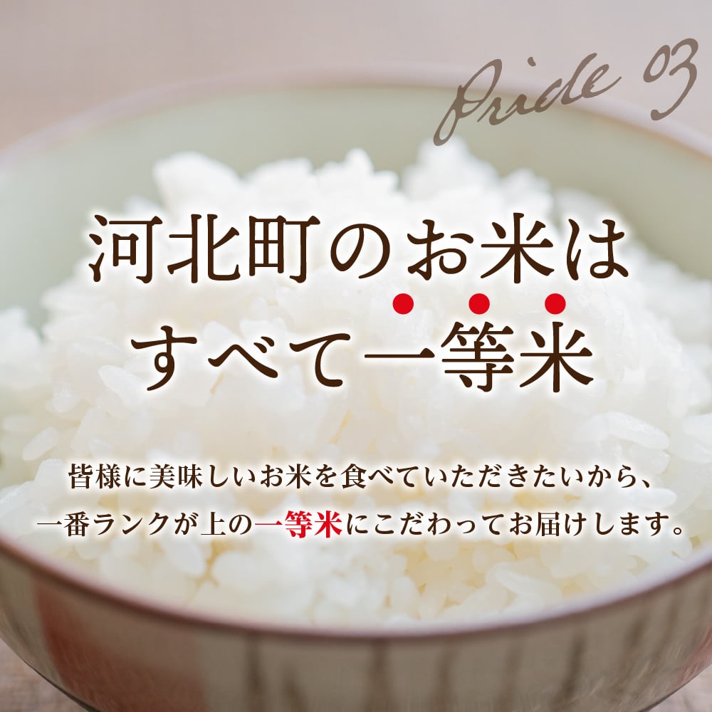 2022年11月前半スタート※【令和4年産】特A つや姫30kg（10kg×3回）定期便 一等米 山形県河北町産【丹野商店】 - 山形県河北町｜ふるさとチョイス  - ふるさと納税サイト