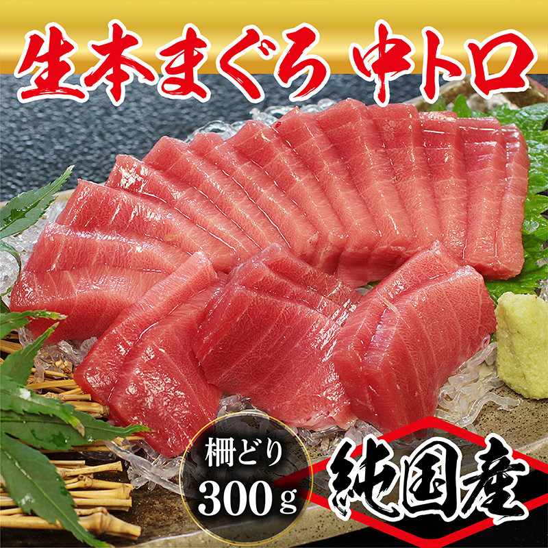 冷蔵・指定日着可】 生本マグロ 中トロ 500g（柵どり） - 福井県越前市｜ふるさとチョイス - ふるさと納税サイト