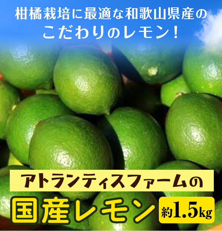 ふるさと納税 紀の川市 和歌山県産 レモン 2kg サイズ混合 - みかん