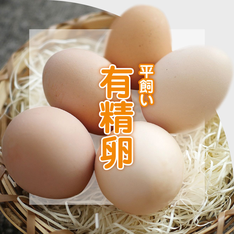お買い得！】 熊本県産天草大王系統有精卵20個 平飼い 自家製発酵飼料