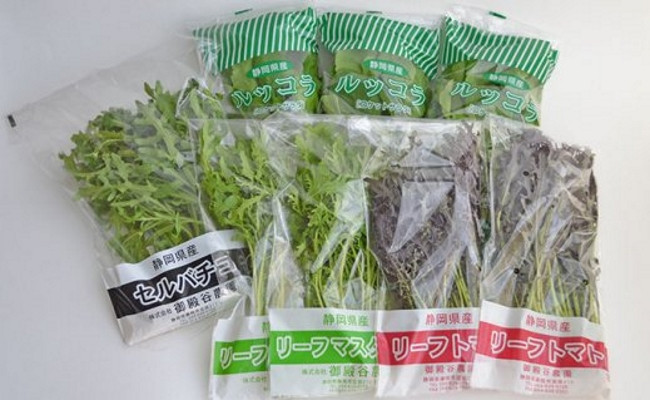 国産 ハーブ 野菜 詰め合わせ 約 450g 4種 8袋 セット ルッコラ 約 50g
