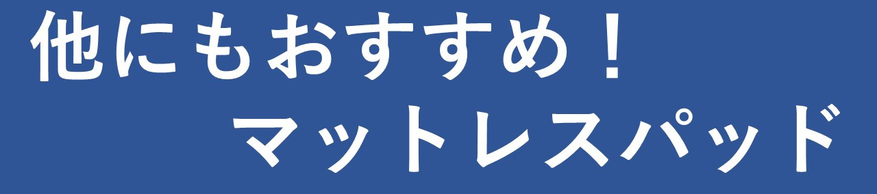 エアウィーヴ 01 シングル マットレス マットレスパッド 折りたたみ 洗える 体圧分散 寝具 - 大府市大府市 | ふるさと納税 [ふるさとチョイス]