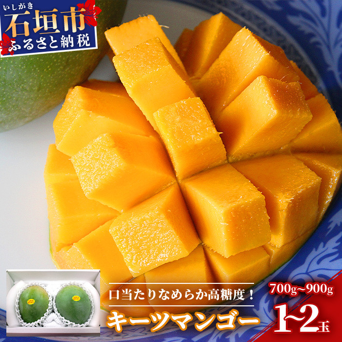 沖縄産キーツマンゴー B級品 10キロ - 果物