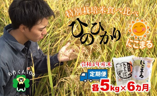 ひのひかり」「にこまる」食べ比べセット（各5kg×6ヶ月定期） - 熊本県