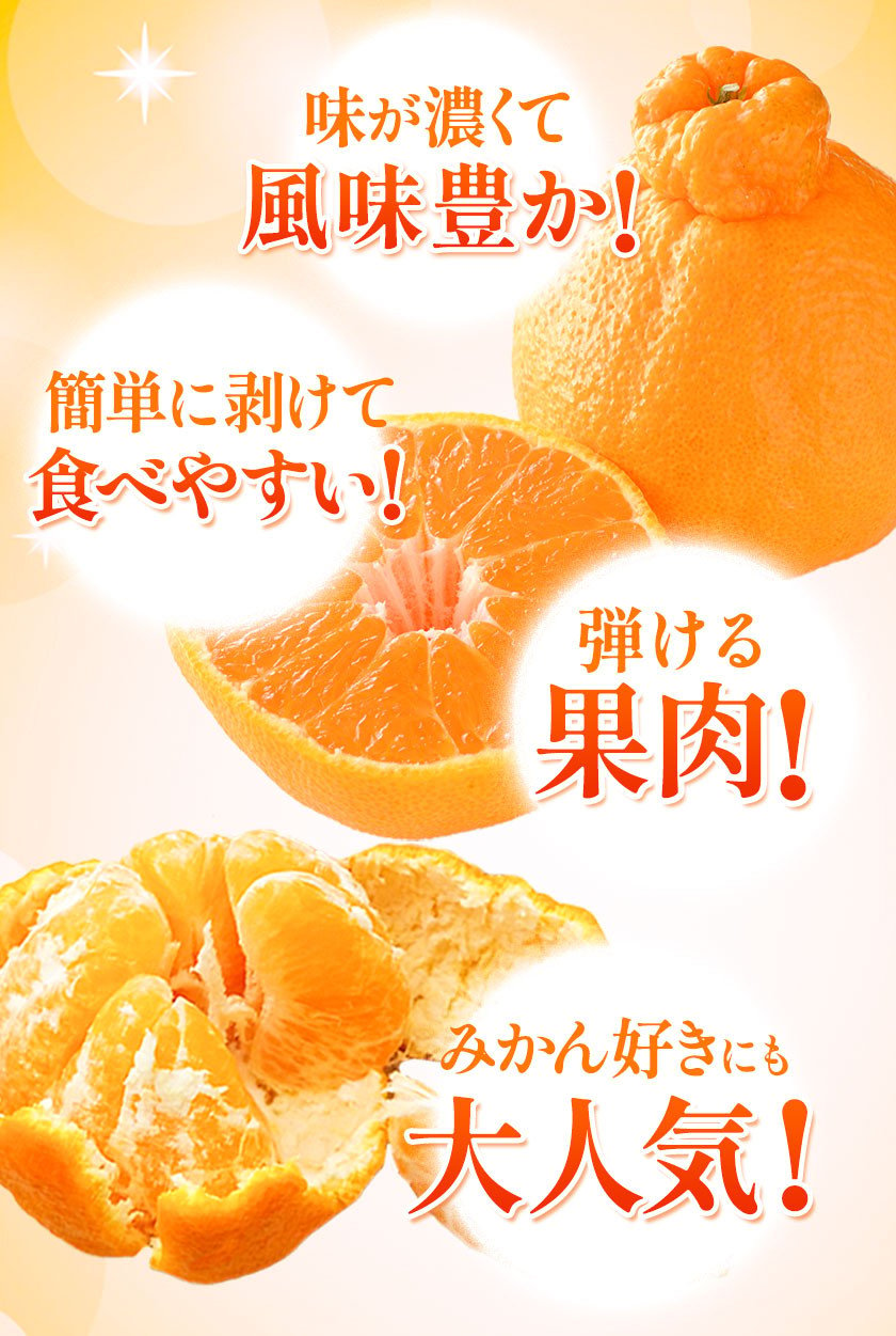 デコみかん (デコポン と同品種 不知火 ) ご家庭用 熊本県産 ( 荒尾市産含む ) 訳あり 約5kg前後(12-24玉前後) 《2023年2 月末-4月末頃より順次出荷》 柑橘 みかん フルーツ 不知火 先行予約 訳あり 訳アリ でこみかん 果物 生産量全国一位！ - 熊本県荒尾市｜ふるさと  ...