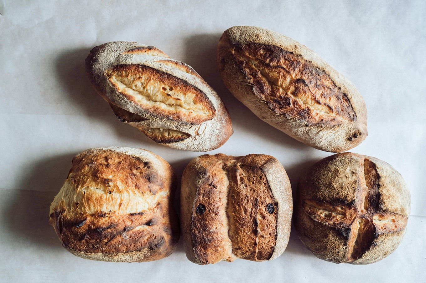 天然酵母パン　５種