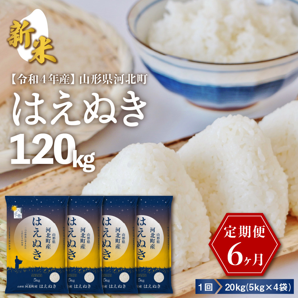 ☆選べる配送時期☆【令和4年産 米】一等米 はえぬき 120kg 定期便 （20kg×6回） 山形県産【米COMEかほく協同組合】 - 山形県河北町｜ ふるさとチョイス - ふるさと納税サイト