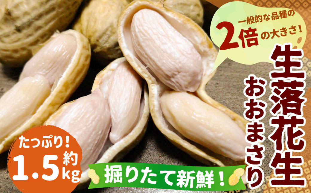 千葉県産　乾燥生落花　3キロ