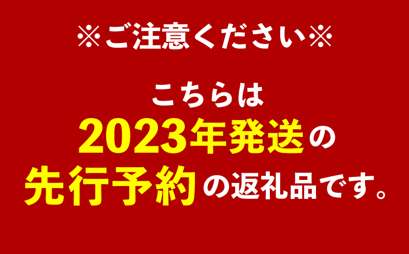 先行予約】【2023年発送】神谷ファームのマンゴー約1Kg - 沖縄県八重瀬町｜ふるさとチョイス - ふるさと納税サイト