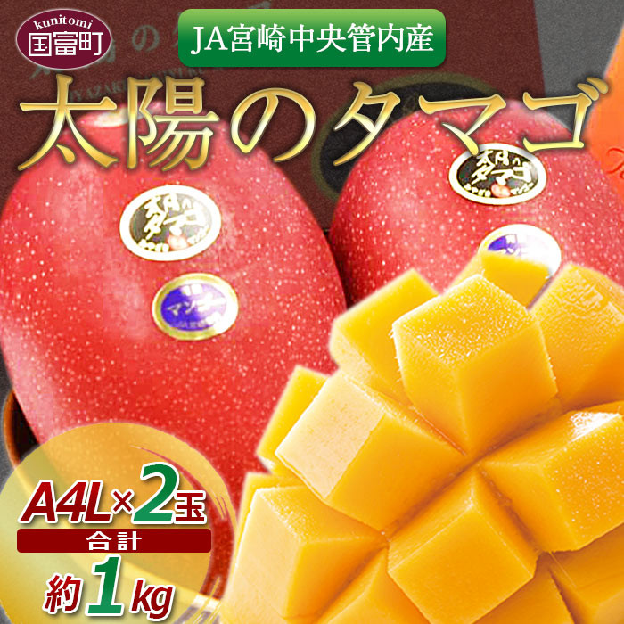 予約受付！＜宮崎県産 太陽のタマゴ A等級 4Lサイズ×2玉（合計約1kg）＞2023年5月中旬～6月末迄に順次出荷 - 宮崎県国富町｜ふるさとチョイス  - ふるさと納税サイト