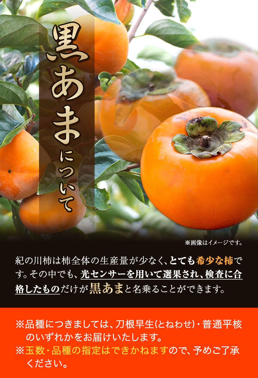 紀の川柿 黒あま 秀品 7-9玉入り(約2kg) 紀の川マルシェ《10月中旬-11月中旬頃より順次出荷》 和歌山県 紀の川市 柿 カキ かき  ジューシー フルーツ 平核無柿 黒あま - 和歌山県紀の川市｜ふるさとチョイス - ふるさと納税サイト