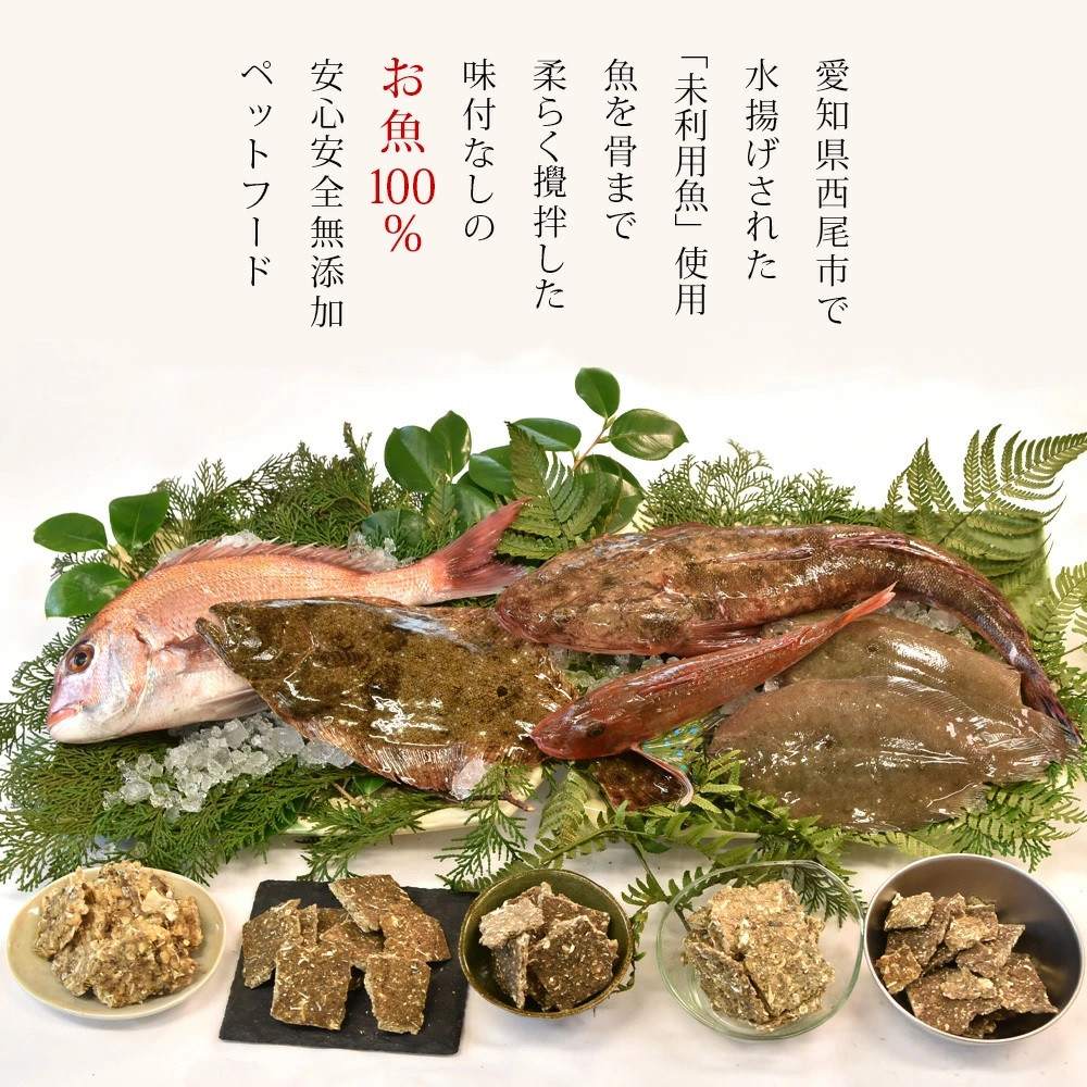 100％お魚で作ったペットフード「ぽわんこ」・K209-22 愛知県西尾市｜ふるさとチョイス ふるさと納税サイト