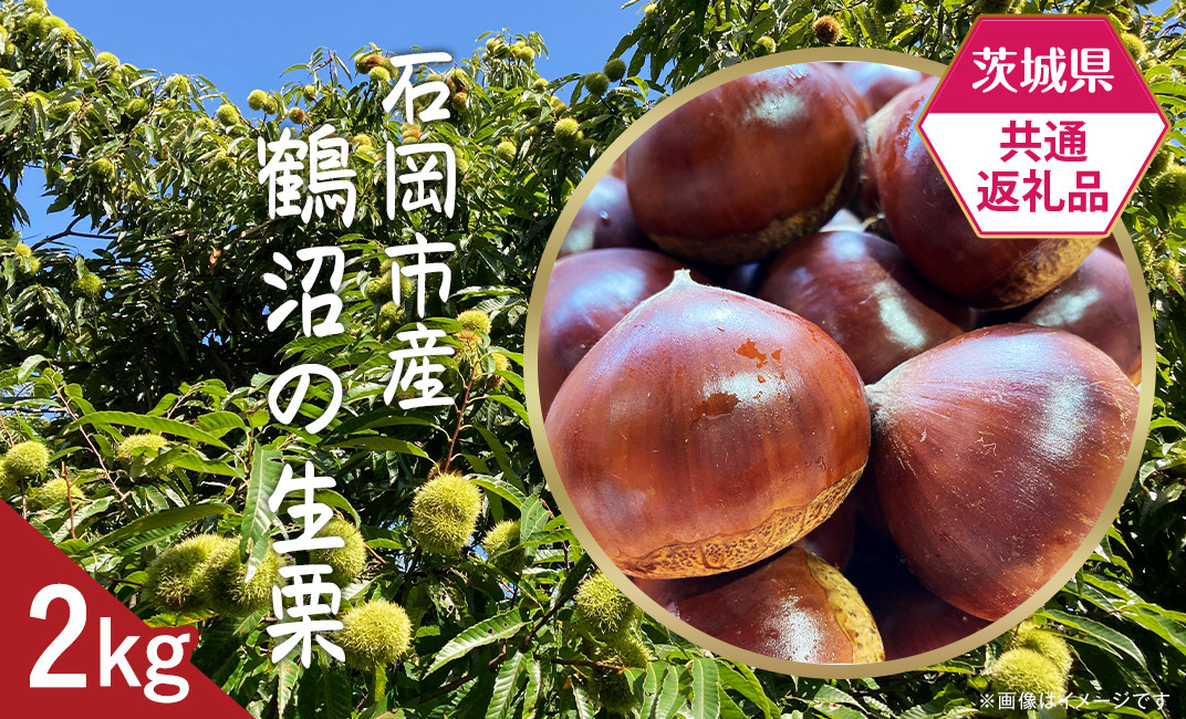 茨城県産　栗　Lサイズ　1.2キロ　栽培期間中農薬不使用