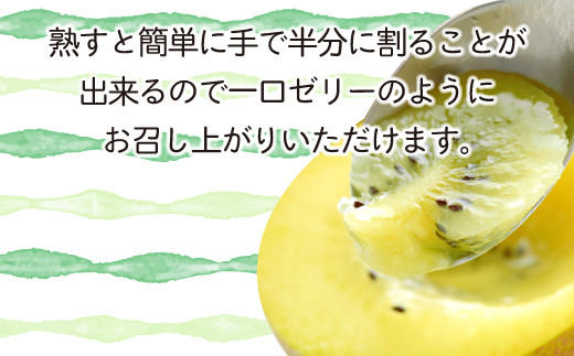 【先行予約】 キウイフルーツ キウイ 香川 さぬきキウイっこ 約2kg（約40～80玉） 国産 さぬき市 キウイ 果物 フルーツ 旬 【  キウイジュース キウイヨーグルト 香川県 さぬき市 讃岐 朝食 香川県 ふるさとチョイス 】