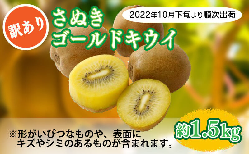 訳あり ゴールドキウイ さぬきゴールド 約 1.5kg 【先行予約】 - 香川県さぬき市｜ふるさとチョイス - ふるさと納税サイト