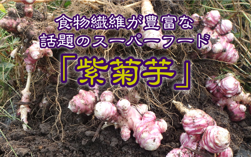 紫菊芋茶（煮出し用）100g×3袋 島根県邑南町｜ふるさとチョイス ふるさと納税サイト