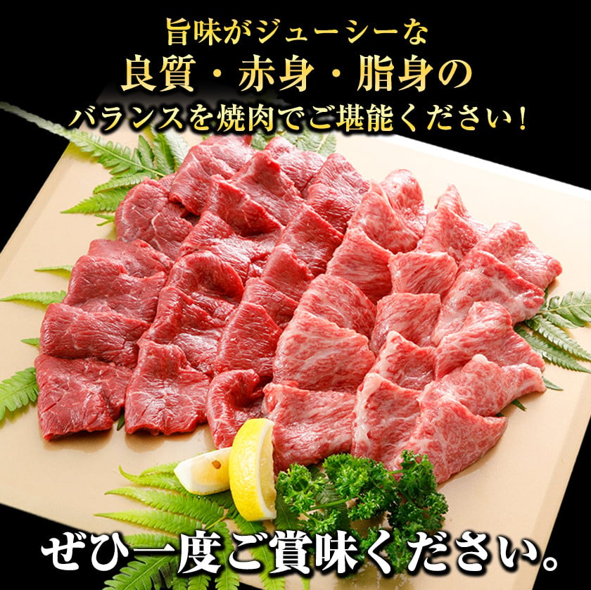 82%OFF!】 ふるさと納税 熊本県産A5ランク黒毛和牛450g 焼肉用 熊本県小国町 tezelizolasyon.com