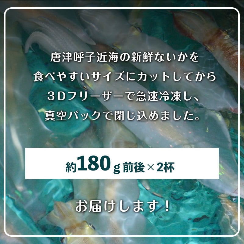 唐津呼子産いか活造り 2杯(180g×2) 急速冷凍 新鮮そのまま食卓へ！イカ 刺身 簡単 ギフト「2022年 令和4年」 - 佐賀県唐津市｜ふるさとチョイス  - ふるさと納税サイト