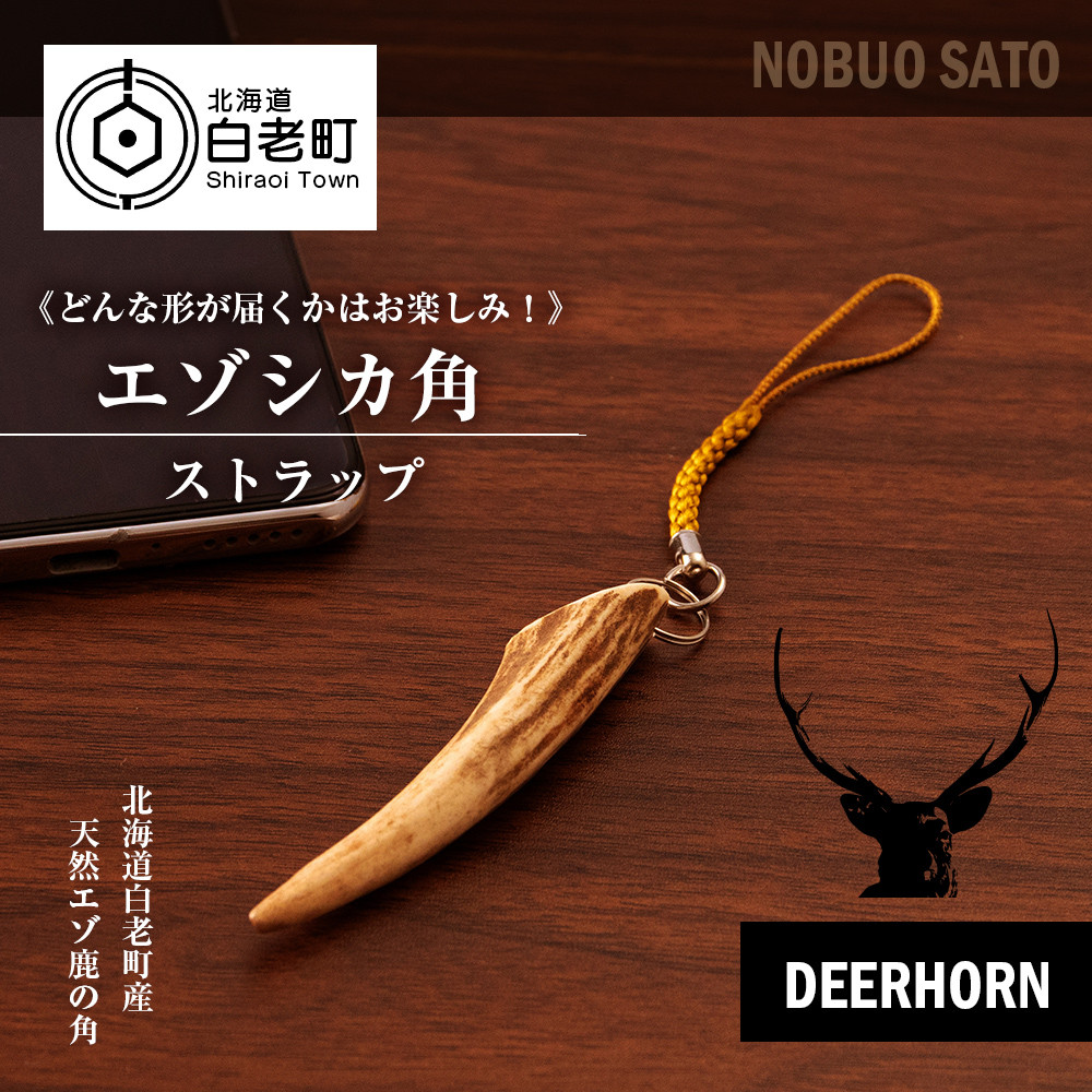 どんな形が届くかはお楽しみ！》 エゾシカ角ストラップ （角） 北海道白老町｜ふるさとチョイス ふるさと納税サイト