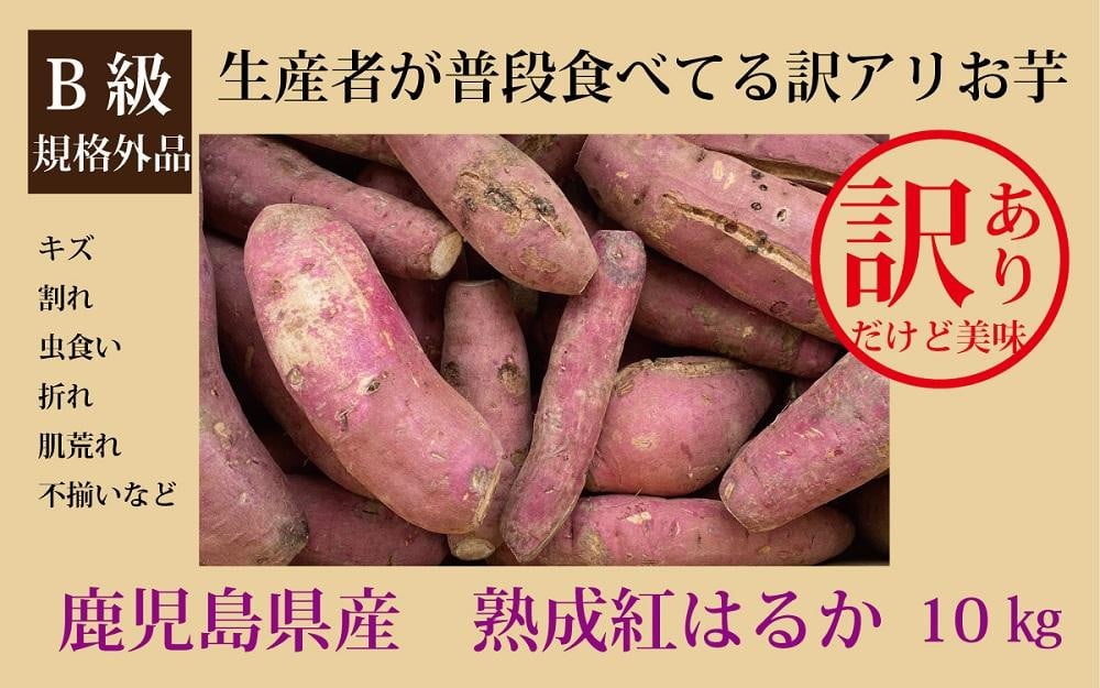 訳あり 数量限定 23年1月末までにお届け 生産者が普段食べてる訳アリお芋 鹿児島産の熟成紅はるか 感動さつまいも 訳アリ10キロ 鹿児島県南大隅町 ふるさとチョイス ふるさと納税サイト