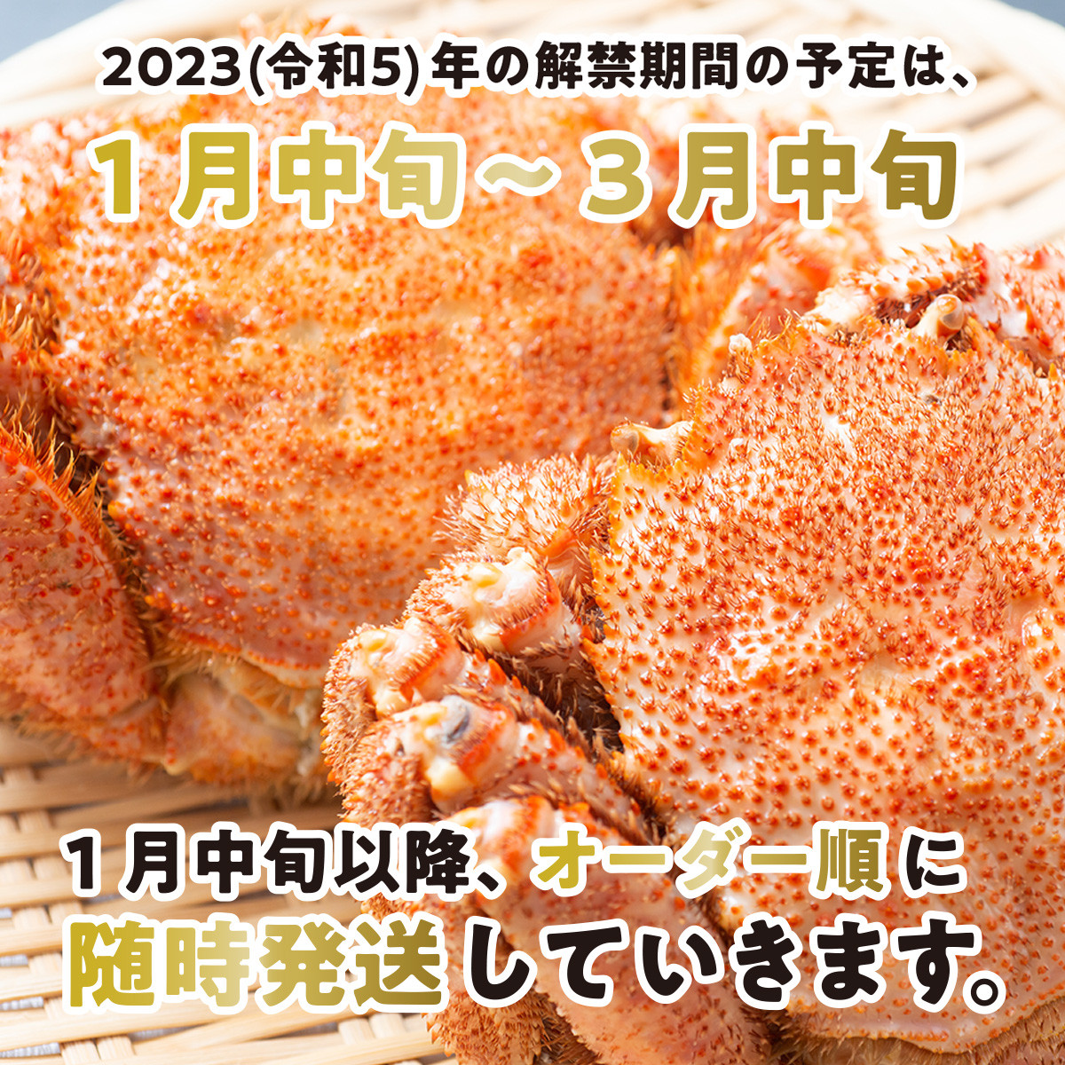 通販　冷凍たらば蟹むき身200g×2P　A-54012　ふるさと納税　根室市