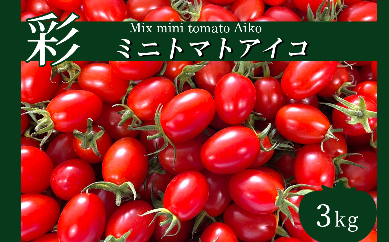 サザキ農園 ミニトマト アイコ 3kg - 熊本県玉名市｜ふるさとチョイス