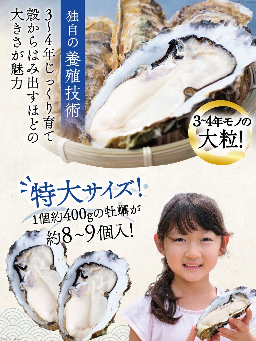 牡蠣 LLサイズ ３~4年モノ 生食 殻付き牡蠣 約3.5kg(約8-9個入)《2022年12月後半～2023年7月後半発送》 冷蔵 新鮮 魚介類  濃厚 真牡蠣 カキ かき / 住喜水産 / 宮城県 気仙沼市 - 宮城県気仙沼市｜ふるさとチョイス - ふるさと納税サイト