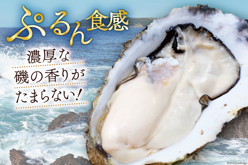 ふるさと納税 【TVで紹介！】 牡蠣 大粒 3〜4年モノ 生食 殻付き牡蠣