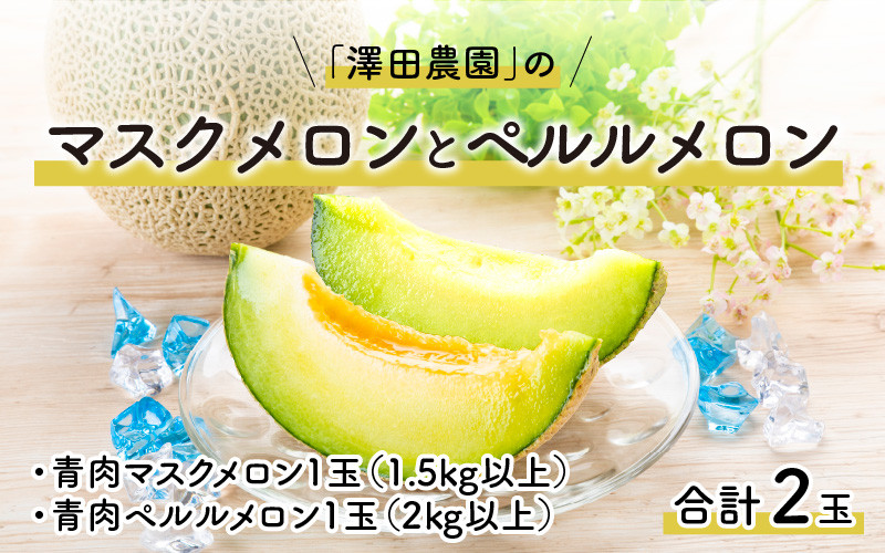 期間限定　アールスメロン　果物　青肉　甘い　人気　※2024年7月上旬より順次発送　フルーツ　ふるさと納税サイト　先行予約】マスクメロン・ペルルメロン　福井県あわら市｜ふるさとチョイス　2種セット(2玉入）大玉で食べ応え抜群！　産地直送