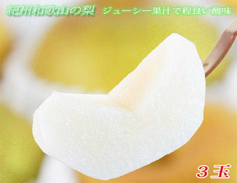 紀州和歌山産の梨 3玉 化粧箱入 ※2023年7月中旬頃～9月中旬頃順次発送（お届け日指定不可） 和歌山県すさみ町｜ふるさとチョイス  ふるさと納税サイト