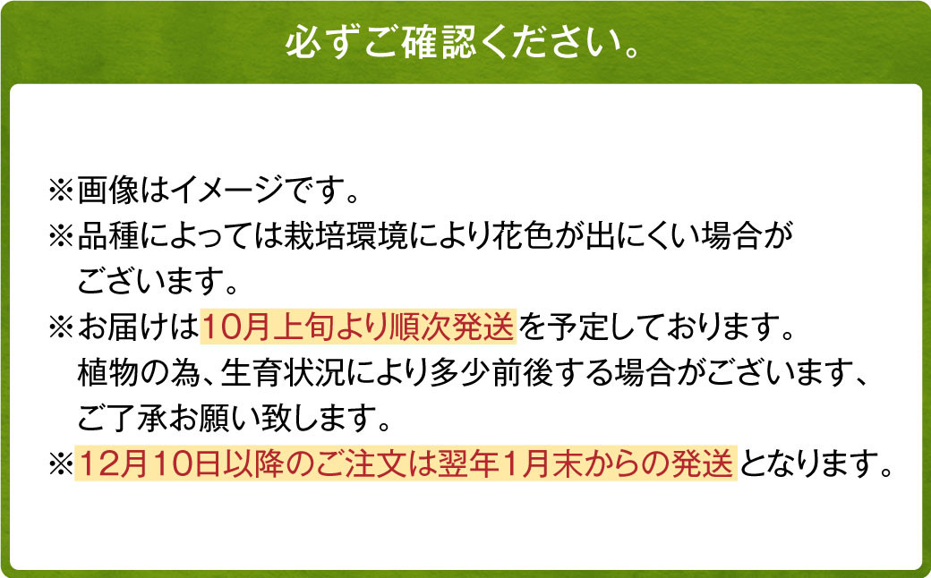 10月上旬発送開始】ユリ 球根 最新 オリエンタル リリーセット 3種 15球 花 ガーデニング - 宮崎県えびの市｜ふるさとチョイス -  ふるさと納税サイト