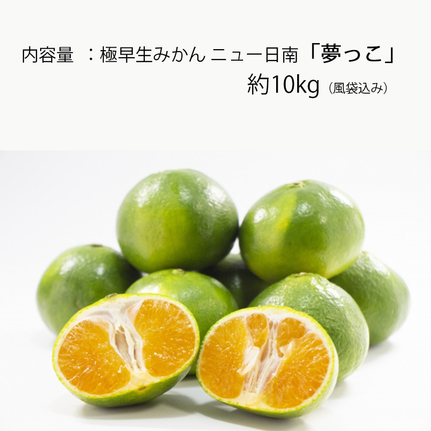 極早生みかん ニュー日南「夢っこ」 10kg箱入り - 熊本県苓北町｜ふるさとチョイス - ふるさと納税サイト