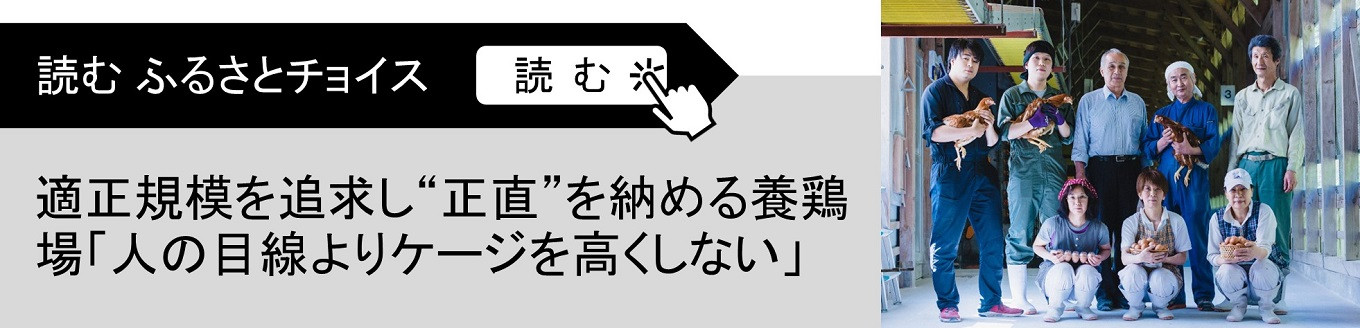 定期便】鎌田養生卵 30個 ×3ヵ月 アニマルウェルフェア 農場HACCP認証