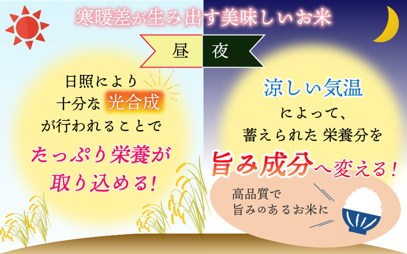 白山の恵み 令和5年度産 コシヒカリ（精米）10kg [A-009006] - 福井県