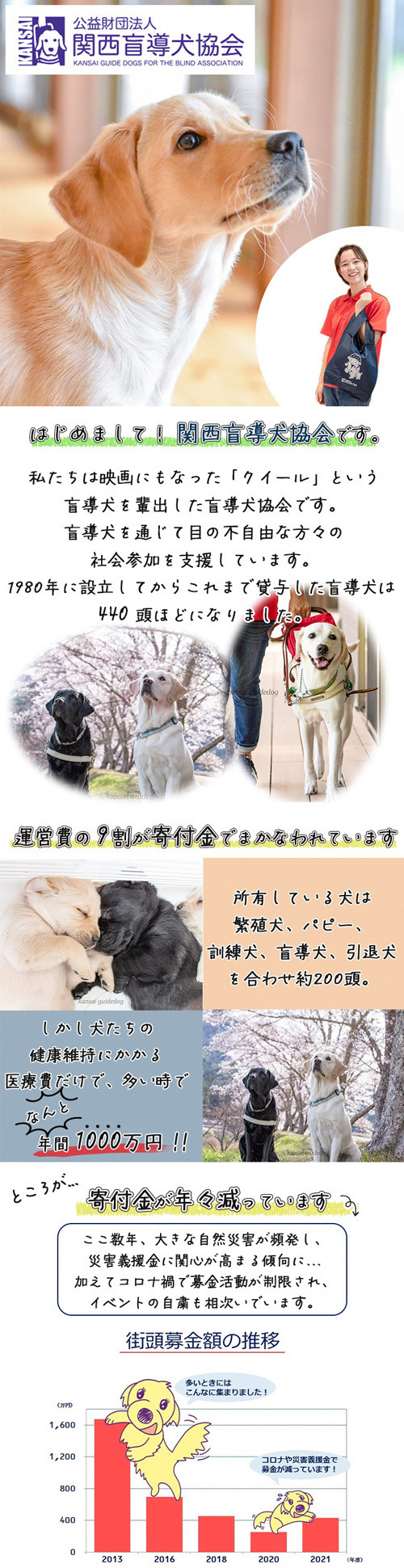chetumaxsales.com - ふるさと納税 亀岡市 盲導犬訓練 支援寄付[盲導犬