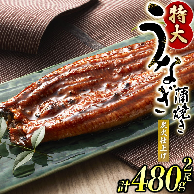 朝焼きうなぎ 国産うなぎ長蒲焼 特大 130gサイズ ５尾